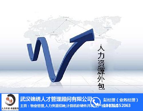 it外包市場分析及營銷模式探討_it外包維護方案_it技術(shù)外包