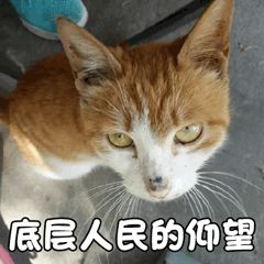 信息安全運維服務(wù)_服務(wù)器運維_it運維服務(wù)管理體系